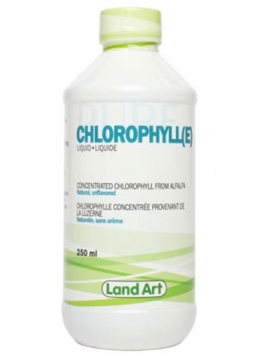 Image result for chlorophyll healthy planet
